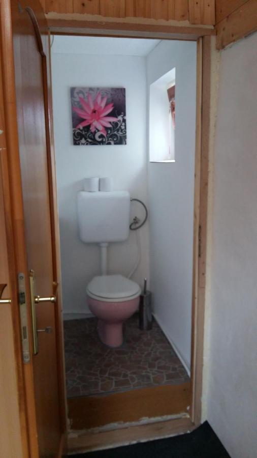 Kamilla Vendeghaz Apartment Ecs Bagian luar foto